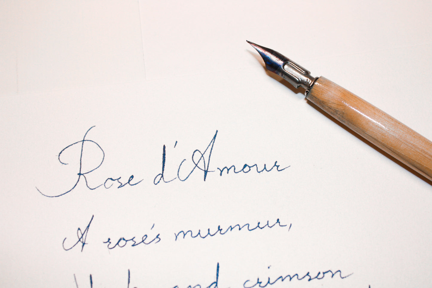 Rose d`Amour Poem